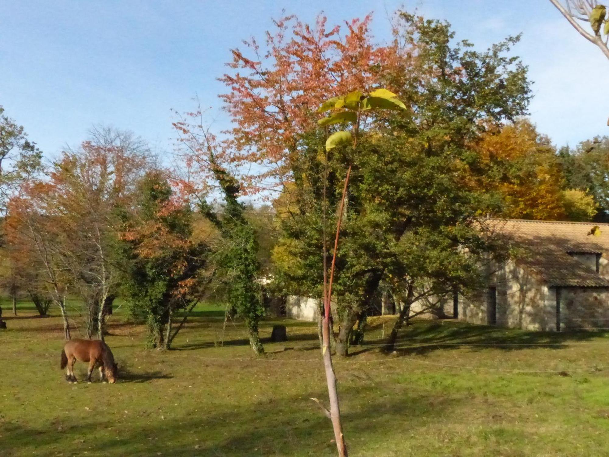 Terres De France - Le Domaine Des Vans Chambonas Exteriör bild